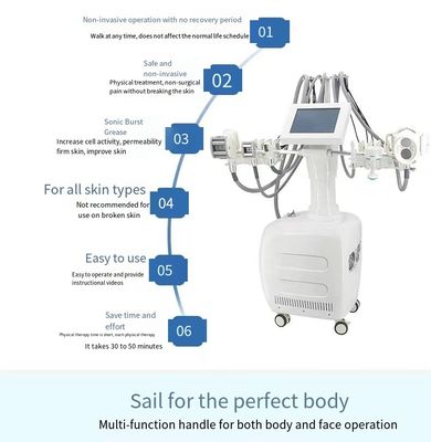 IPL / Laser E Light Laser Machine 110V 220V With 5 Wavelength Interference Filter Tips