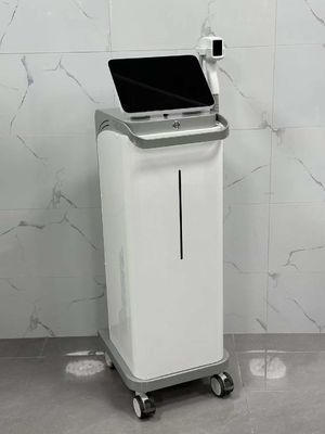 LB-100 1-10J/Cm2 Laser Beauty Machine For Hair Removal CE Approved