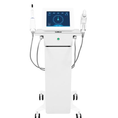 2 in1 Vertical Body HIFU Beauty Machine For Skin Lifting And Tightening