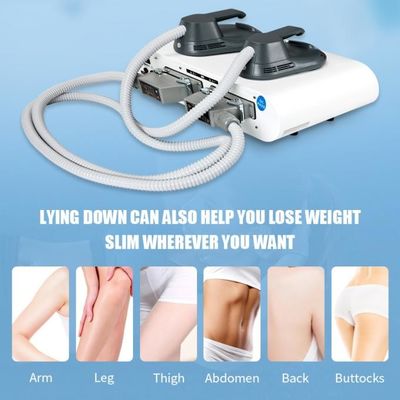 Tesla EMS Beauty Instrument 2 Handles Intensity Pulsed Electromagnetic RF 5000W